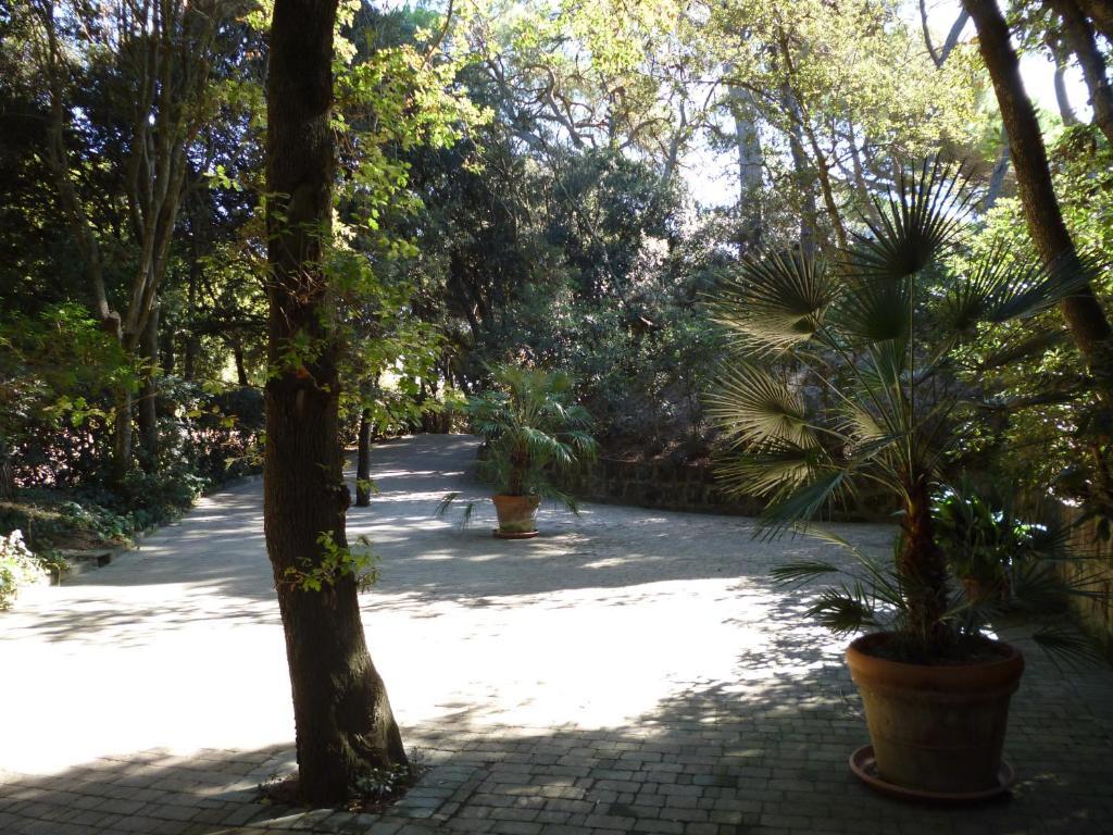 Baia Etrusca Resort Riotorto Room photo